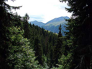 Fort au col du Pr