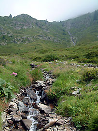 Cascade