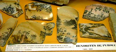 Dendrites