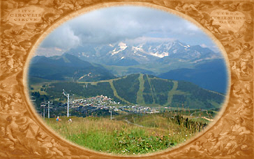 Les saisies et le Massif du Mont Blanc