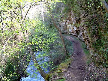 Le sentier le long du cours d'eau