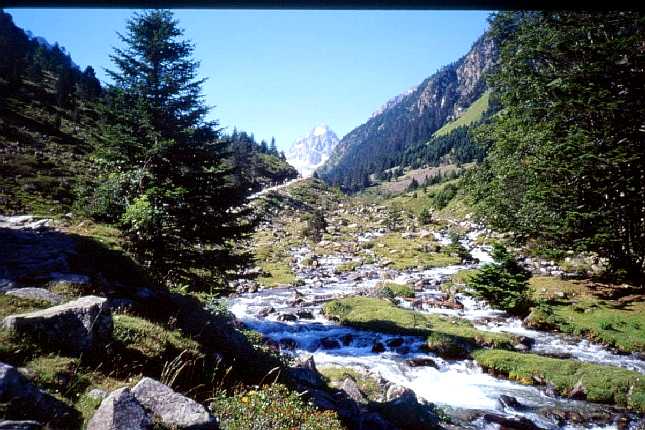 Valle de Lutour  la fruitire