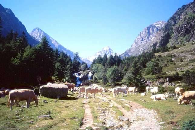 La premire cascade de la valle