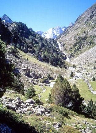 Cascade d'Esplumousse