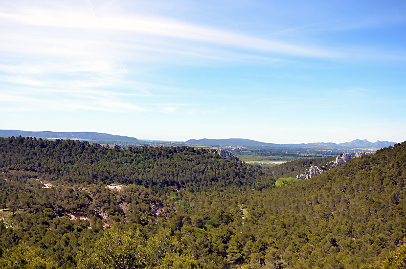 Vue sur les Alpilles