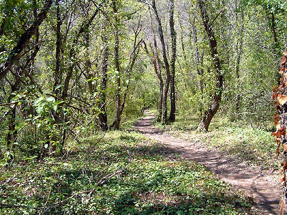 Le sentier qui conduit aux gorges