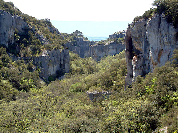 Les gorges de la Vroncle