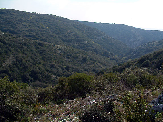 Le vallon du Colombier