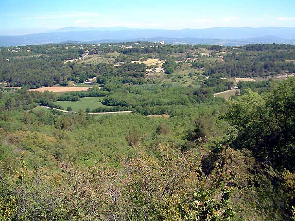 Au loin le Ventoux, le chteau de Lacoste