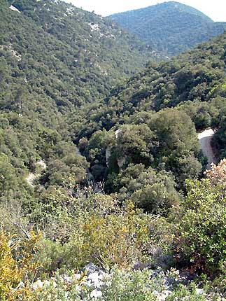 Combe du Luberon