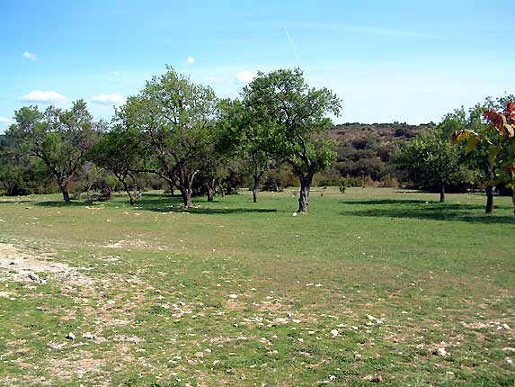 Le plateau des Mayorques