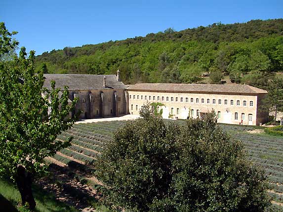 L'abbaye de Snanque