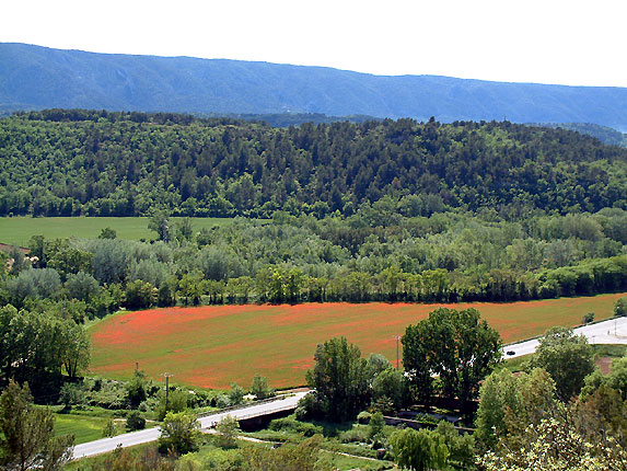 Le petit Luberon 