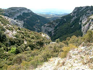 Le vallon du Roumigui