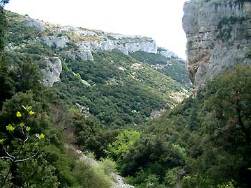 Les falaises