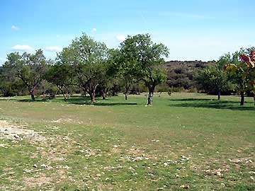 Le plateau des Mayorques