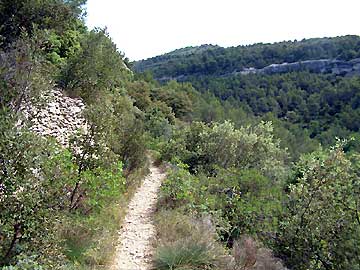 La combe du haut