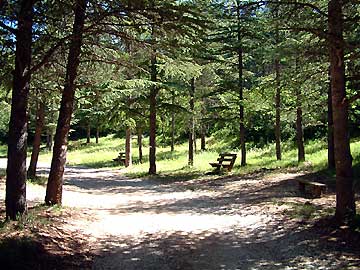 La cdraie, combe de Vaulongue