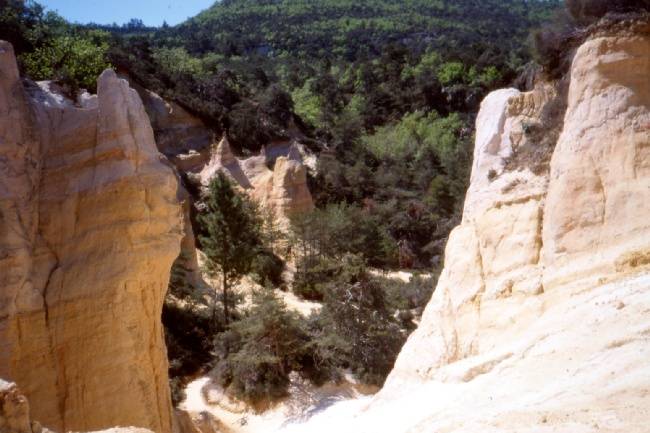 Le cirque de Barris