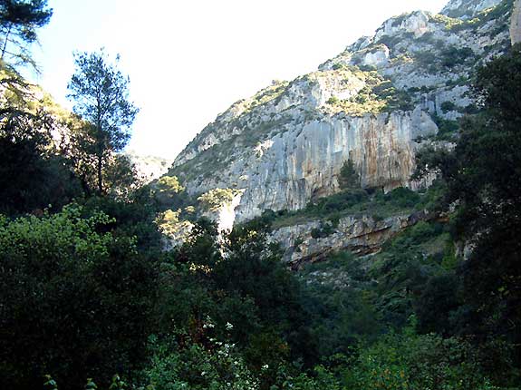 La combe de la Taverne