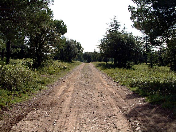 Le sentier du dpart