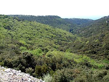 Le dbut de la combe de Vidauque