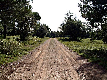 Le sentier du dpart