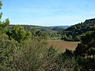 Au loin, la montagne St-Victoire