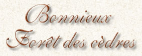 Titre Bonnieux