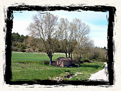 3 Platanes, repres de la balade