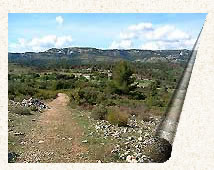 Le plateau de la ferme des Mayorques