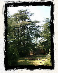 Bastidon du Pradon