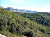 Mourre de la Saume, dans le luberon - Provence