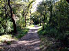 Chemin dans le vallon - luberon - Provence