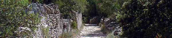 Chemin Les Soleillants