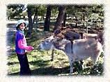 La rcompense pour les enfants - Luberon - Provence