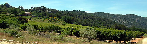 Les monts du Vaucluse