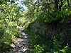 Sentier le long des terrasses