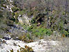 Ruines en pleine garrigue