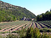 Abbaye de Snanque