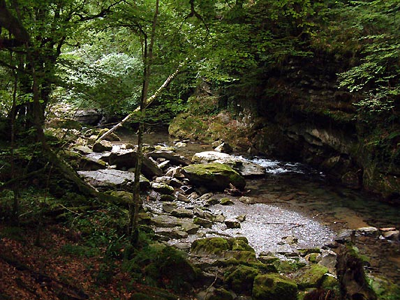 Le torrent des gorges