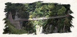 La passerelle sur les gorges Olhadubie
