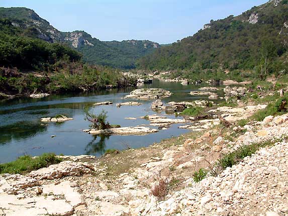 Le gardon, proche de Collias