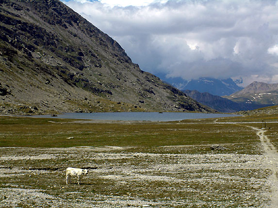 Lac de la Savine