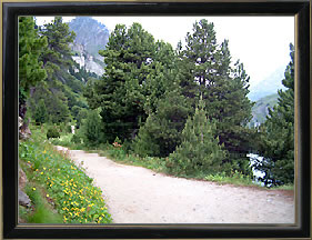 Sentier le long du lac du Plan d'Amont