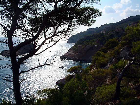 Ile de l'Erevine