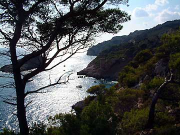 Ile de l'Erevine