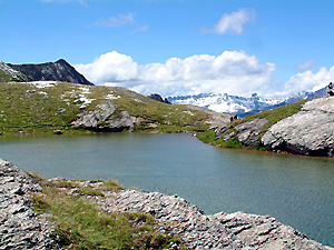 Le lac des moutons