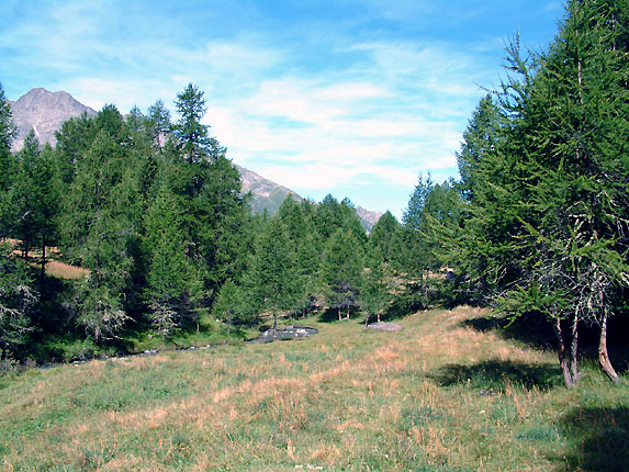 Le ruisseau du clou avant le Monal