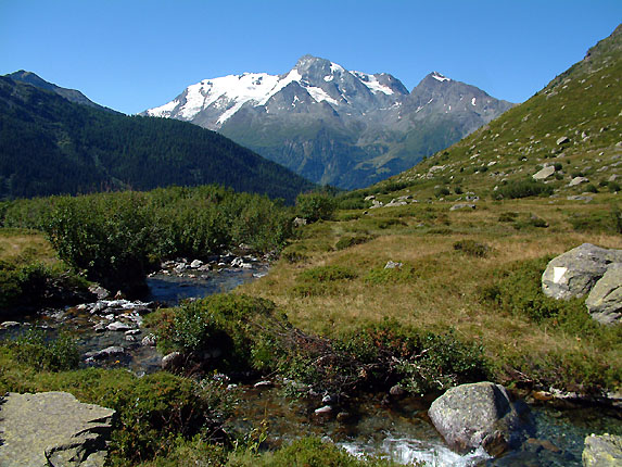 La Savonne et Mont Pourri